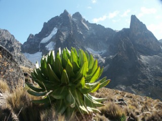 13-02-03-KE-MTKenya.jpg