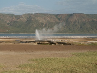 8-02-03-KE-Bogoria.jpg 8-02-03-KE-Bogoria.jpg