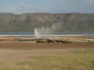 8-02-03-KE-Bogoria.jpg