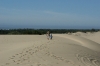 Dunes NP