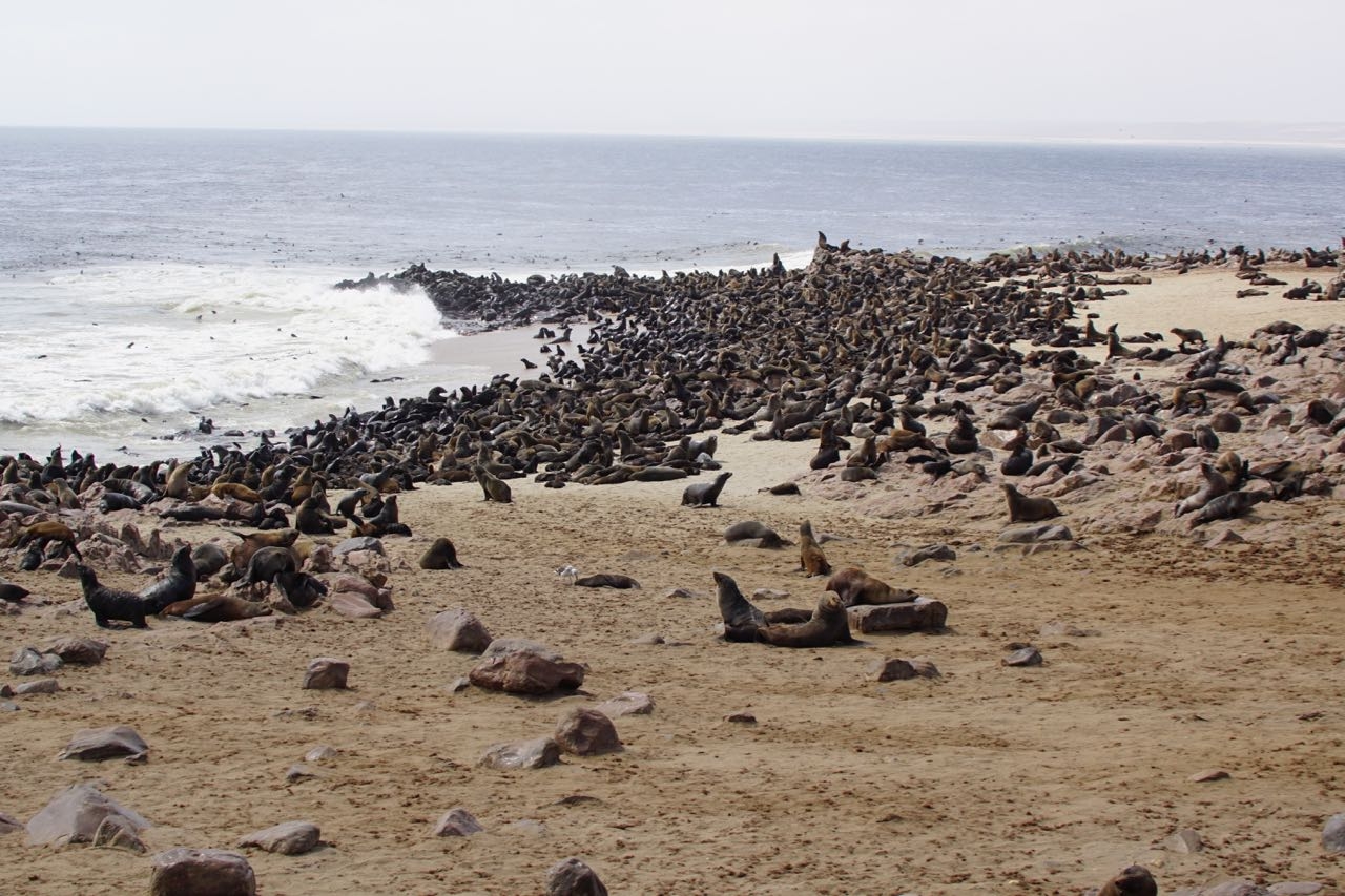 Cape Cross