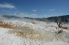 Yellowstone